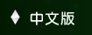 中文版