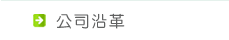 公司沿革